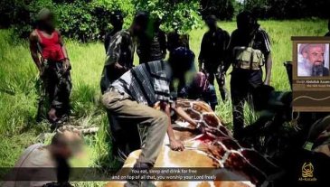 shabaab free giraffe food